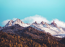 乐鱼——让每一次娱乐都畅快无比